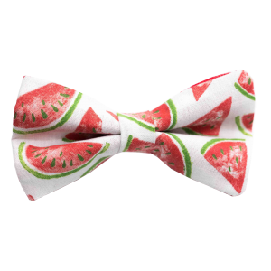 Nœud papillon "Summer Fresh" - pastèque rouge