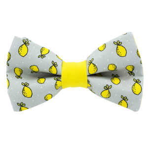 Nœud papillon motif citron fond gris