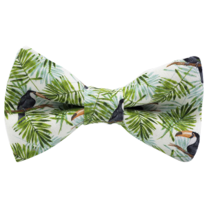 Nœud papillon motif tropical toucan vert