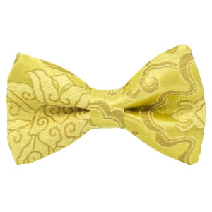 JAGGS_costume_chemise_sur_mesure_bruxelles_noeud_papillon_kubilai-khan_jaune