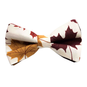 Nœud papillon "Fallen Leaves" - Feuilles marron et bordeaux