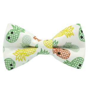 Nœud papillon "Graphic Pineapple" - Ananas colorés sur fond blanc