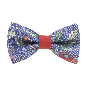 Nœud papillon motif apothicaire bague rouge