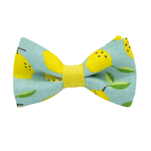 Nœud papillon motif citron jaune fond bleu ciel
